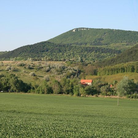 Malomdűlő Farmház Pilisborosjenő Exterior foto