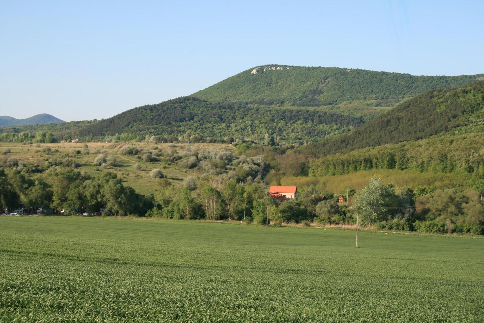 Malomdűlő Farmház Pilisborosjenő Exterior foto