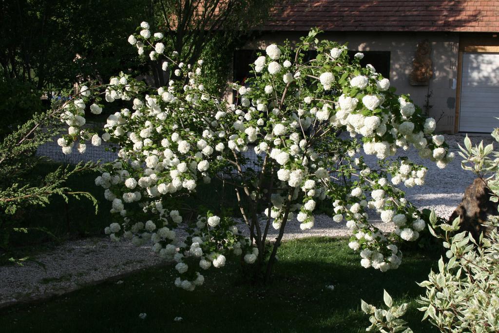 Malomdűlő Farmház Pilisborosjenő Exterior foto