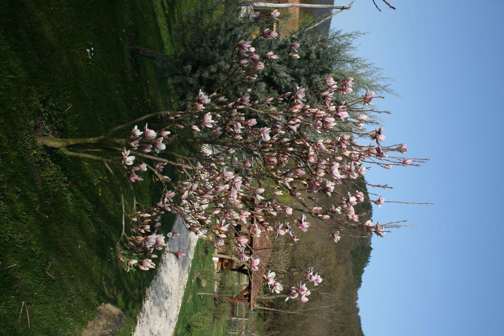 Malomdűlő Farmház Pilisborosjenő Exterior foto